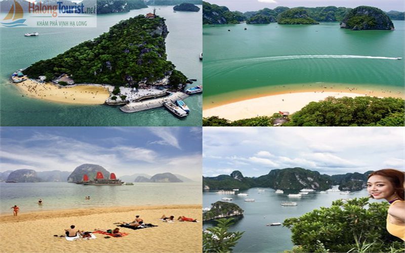 Chụp Ảnh check in Đảo Titop