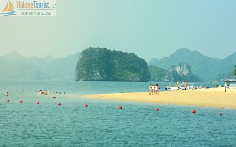 Tắm Biển Đảo Titop