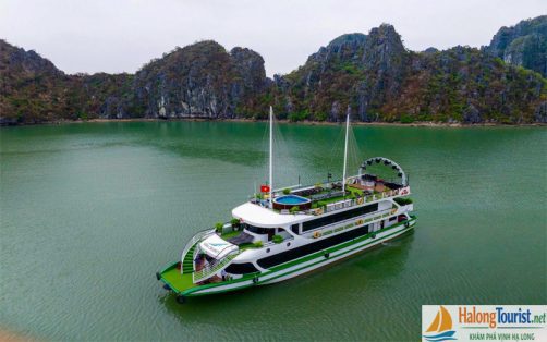 Du Thuyền Vera Cruisea