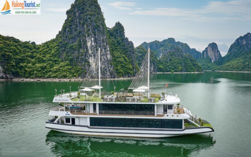 Du thuyền Hercules Cruise