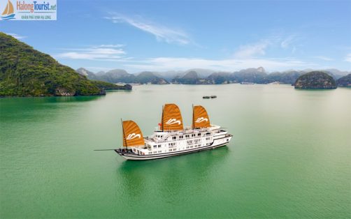 Du Thuyền Paradise Sails