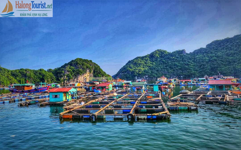 Làng chài Cửa Vạn