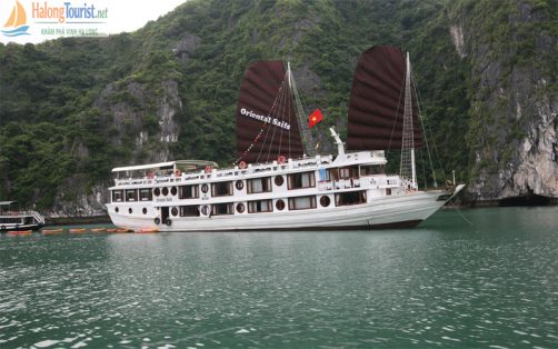 Du Thuyền Oriental Sails
