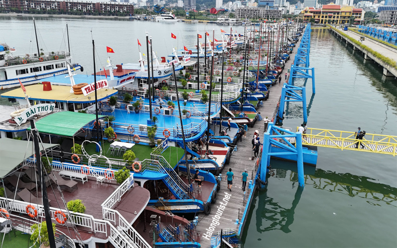 Tàu tham quan Vịnh Hạ Long trong ngày – lựa chọn phổ biến của du khách