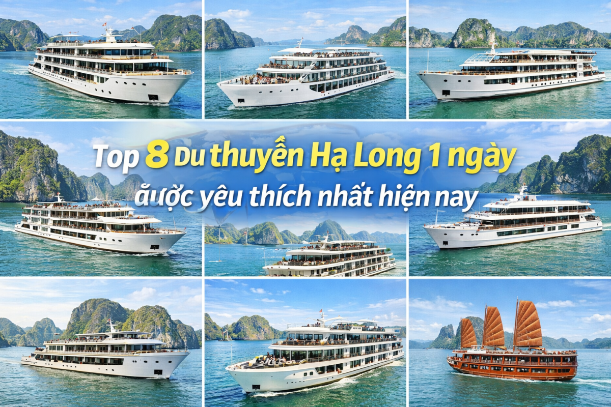 Top 8 du thuyền Hạ Long 1 ngày được yêu thích nhất hiện nay