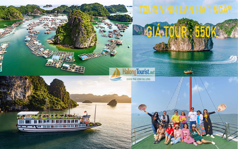 Tour Vịnh Lan Hạ 1 ngày tham quan kayak tắm biển