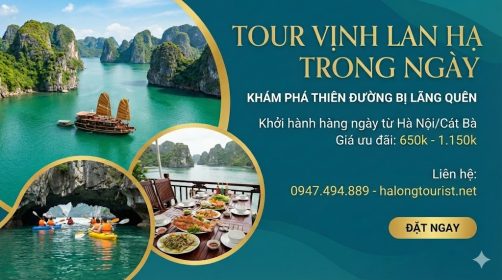 Tour Vịnh Lan Hạ trong ngày