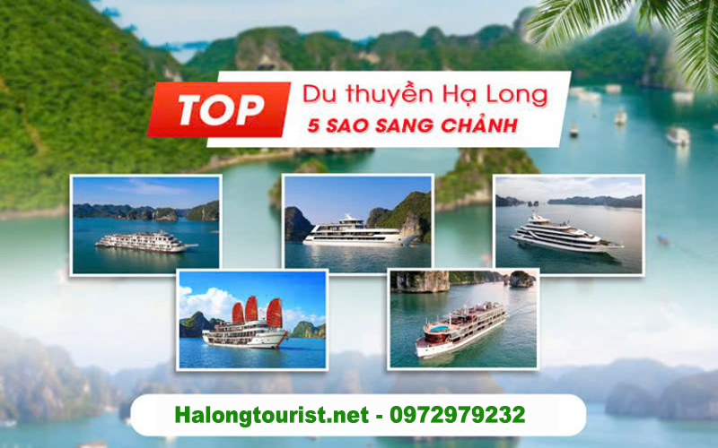 Các hạng du thuyền 3 sao 4 sao 5 sao