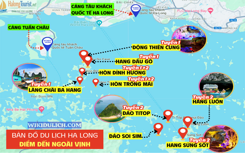 Các tuyến thuê du thuyền Hạ Long, Lan Hạ và Bái Tử Long