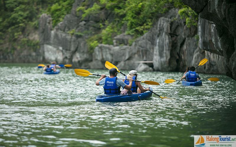 Chèo kayak trong tour