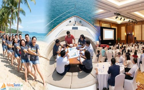 Đa dạng không gian tổ chức team building
