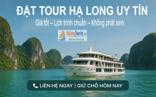 Đặt tour Hạ Long uy tín