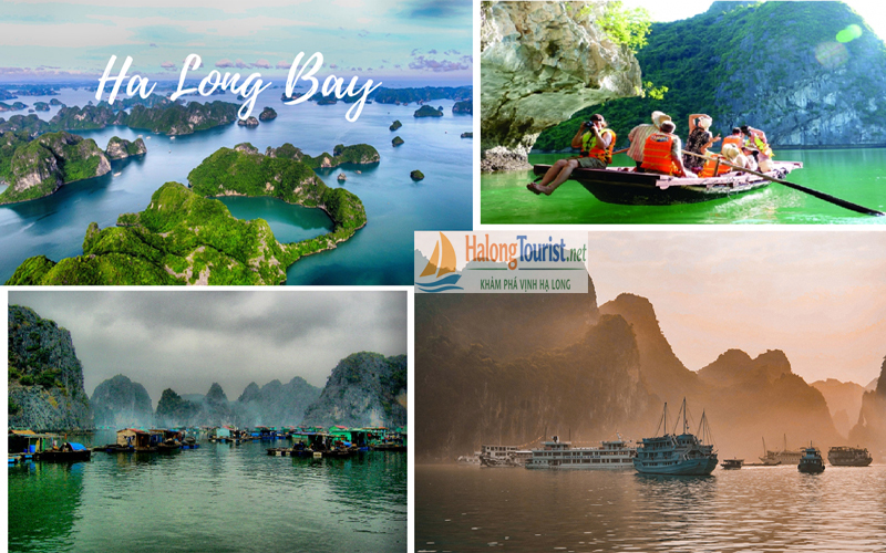Du lịch Vịnh Hạ Long theo lịch trình