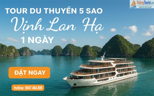 Du thuyền 5 sao Vịnh Lan Hạ 1 ngày