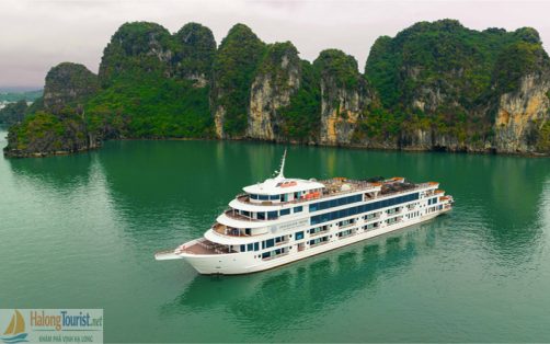 Du thuyền Ambassador Cruise