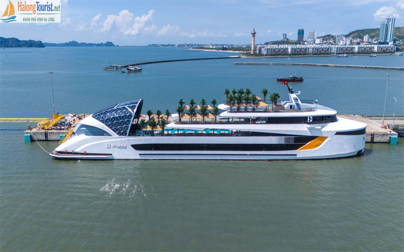 Du thuyền Dolphin Cruise - Du thuyền cao cấp 1 ngày trên vịnh Hạ Long