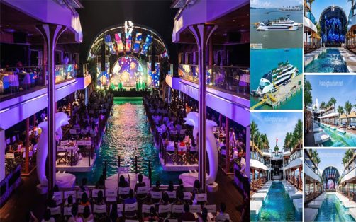 Dolphin Cruise ăn tối trên du thuyền Hạ Long