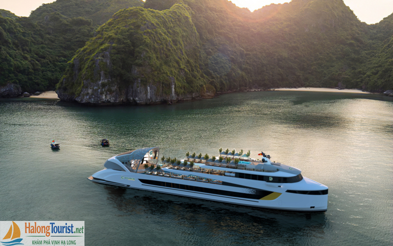 Du thuyền Dolphin Cruise - Thăm Vịnh 8 tiếng