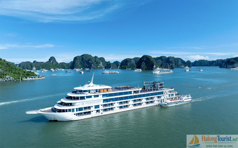 Du thuyền Hạ Long 1 ngày giá bao nhiêu
