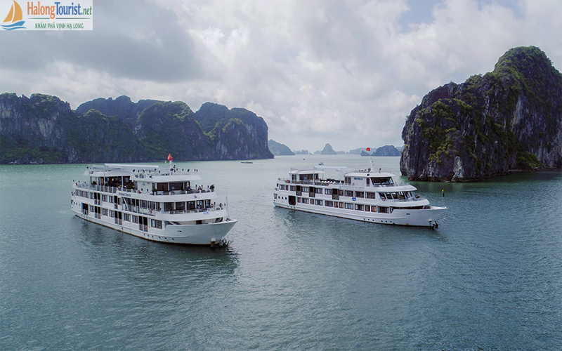 Đi cao tốc Hà Nội – Hạ Long kết hợp du thuyền vịnh Hạ Long