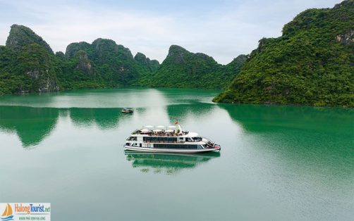 Du Thuyền Pamela Cruise Hạ Long