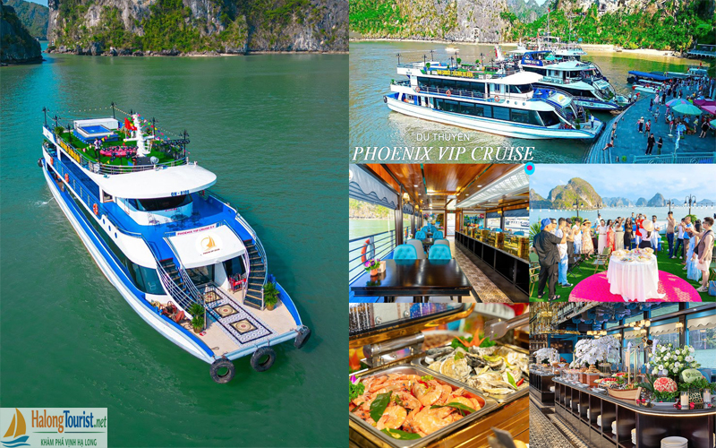Du thuyền Phoenix Day Cruise – Du thuyền 5 sao 99 chỗ Hạ Long