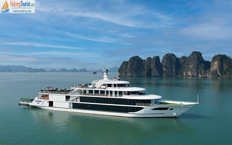 Du thuyền Sea Octopus – Du thuyền cao cấp Hạ Long 1 ngày