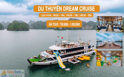 Du thuyền đưa khách tham quan Vịnh Lan Hạ