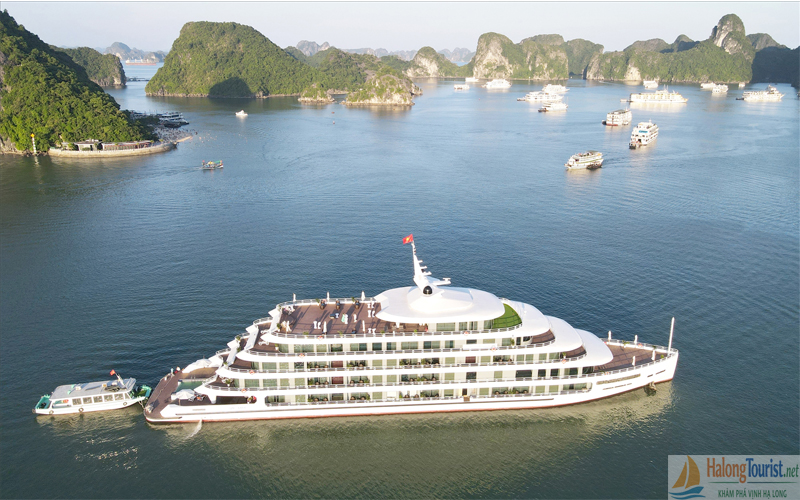 Giá du thuyền Hạ Long 2026 mới nhất