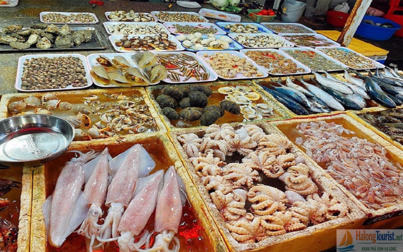 Hải Sản Hạ Long tươi sống bạn nên thử