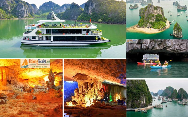 hoạt động trong tour du thuyền Hạ Long 1 ngày