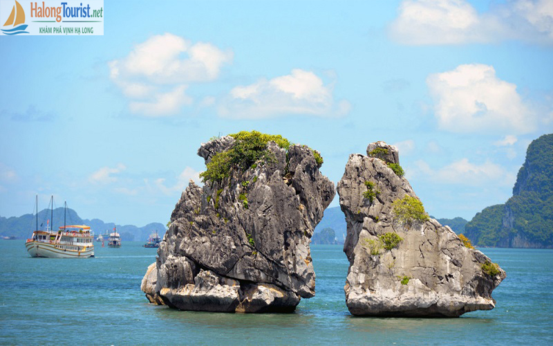 Hòn Gà Chọi - Biểu Tượng của Vịnh Hạ Long