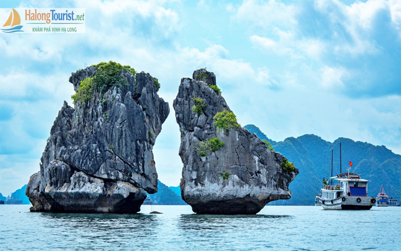 Hòn gà Chọi - Biểu tượng Vịnh Hạ Long