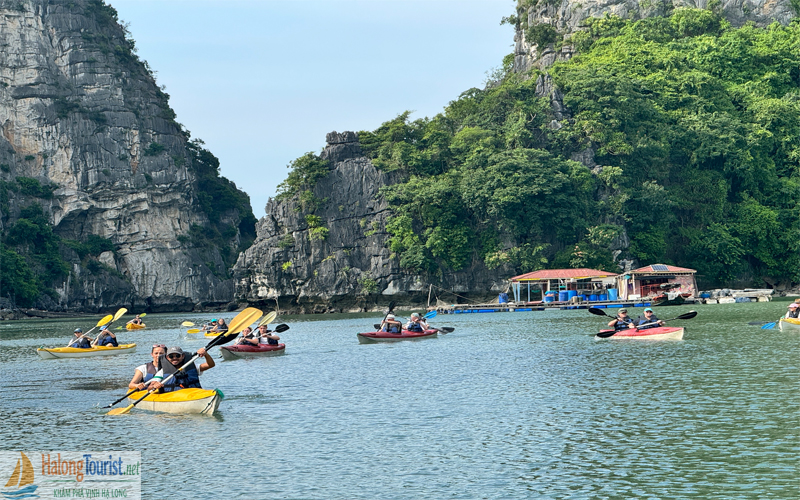 chèo kayak làng chài Cửa Vạn Hạ Long