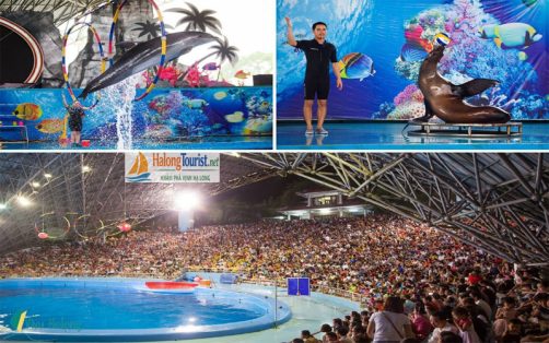 Khu vui chơi Tuần Châu trong tour Tuần Châu 2 ngày 1 đêm