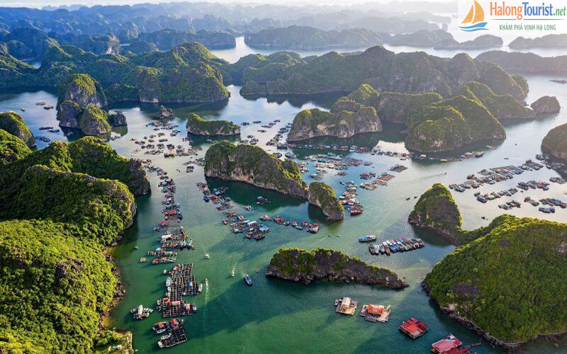 Làng chài Cái Bèo Cát Bà nhà bè trên biển