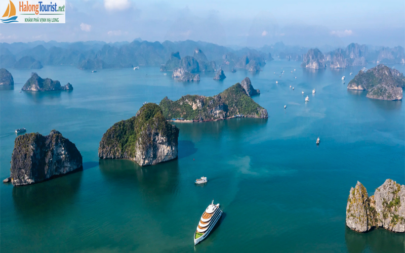Lịch trình du thuyền Hạ Long 1 ngày trên vịnh di sản