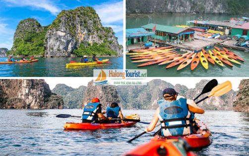 Lịch trình tour du thuyền Hạ Long 2 ngày 1 đêm