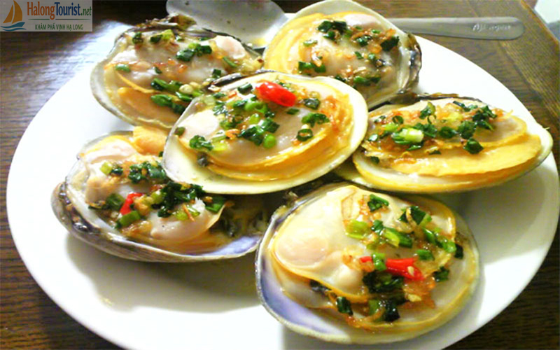 Ngán Biển - Hải sản tươi ngon, Hiếm Hạ Long