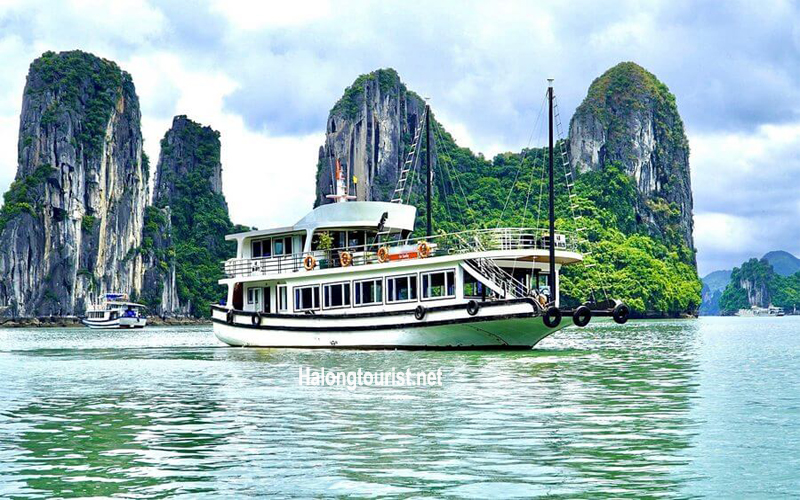 Tàu du lịch hoạt động hằng ngày trên Vịnh Hạ Long