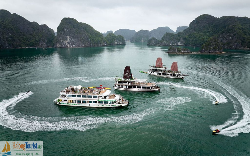 Giá tàu tham quan Vịnh Lan Hạ