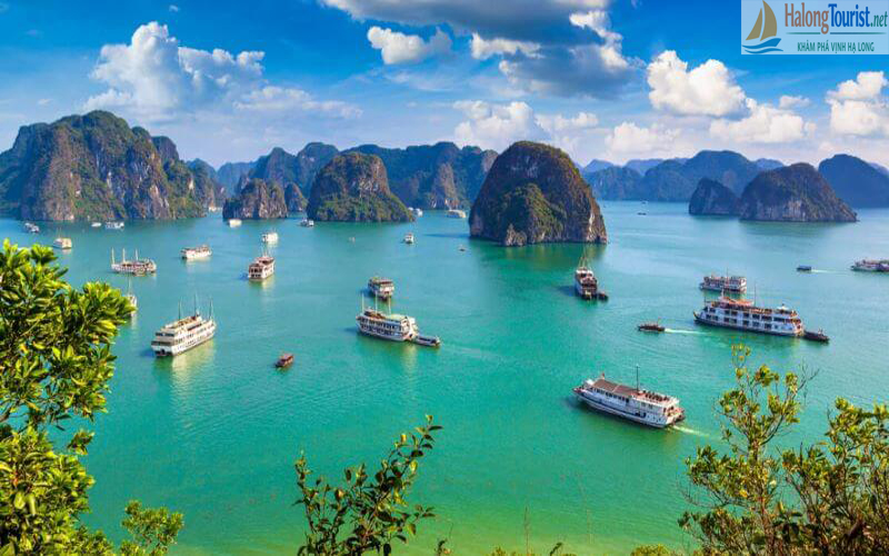 Thời điểm lý tưởng để đi du lịch Hạ Long với thời tiết đẹp