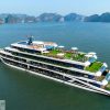 tour du thuyền Hạ Long cao cấp trên Vịnh Hạ Long