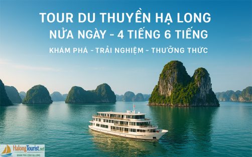 Tour du thuyền Hạ Long nửa ngày