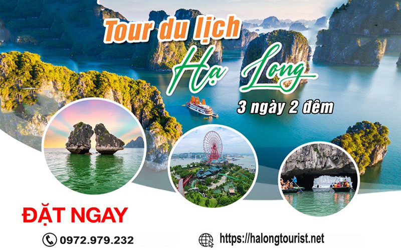 Lịch trình du lịch Hạ Long 3 ngày 2 đêm