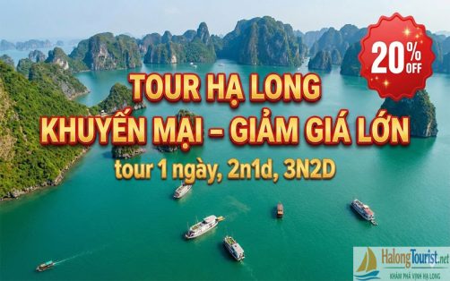 Tour Hạ Long Khuyến Mại