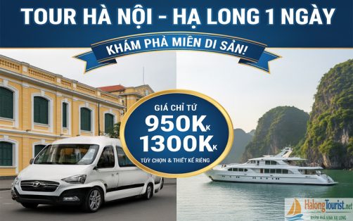 Tour du lịch Hà Nội - Hạ Long 1 ngày