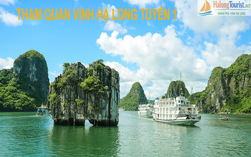 Tour tham quan Vịnh Hạ Long tuyến 1