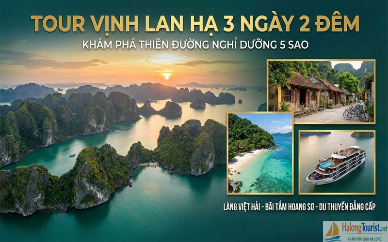 Tour Vịnh Lan Hạ 3 ngày 2 đêm kết hợp đảo Cát Bà