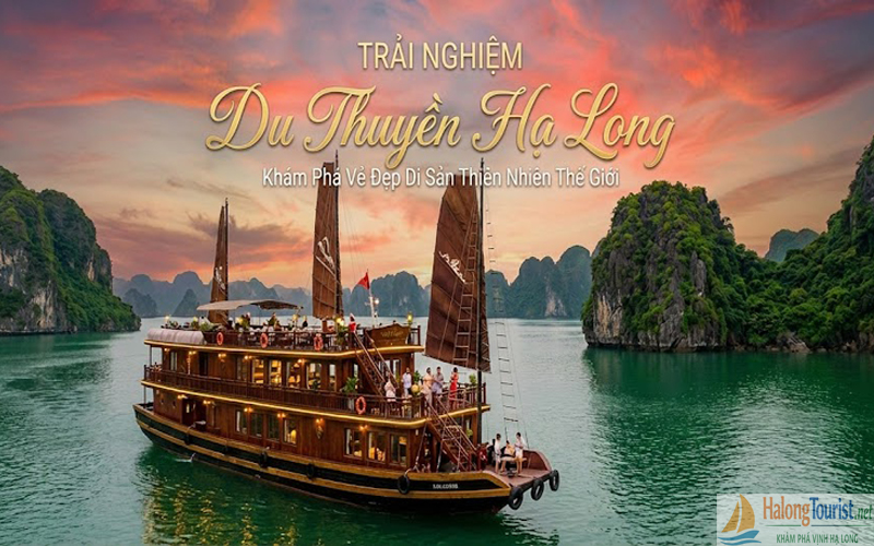 Trải nghiệm Du thuyền Vịnh Hạ Long